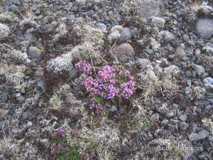 Viaje en moto a Islandia