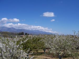 Viaje en moto al Valle del Jerte