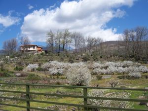 Viaje en moto al Valle del Jerte